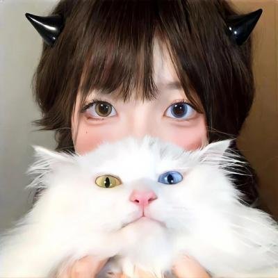 胖胖的搞笑 海报